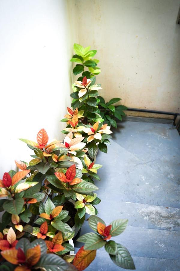 The Bbc Cheliyan Villa Kandy Luaran gambar